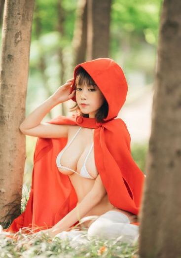红楼梦白话补遗 至节录二